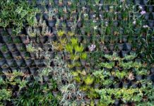 Dikey Bahçe (Vertikal Bahçe) Tasarımı: Küçük Alanlarda Yeşilin Yükselen Gücü Dikey Bahçe (Vertikal Bahçe) Tasarımı: Küçük Alanlarda Yeşilin Yükselen Gücü