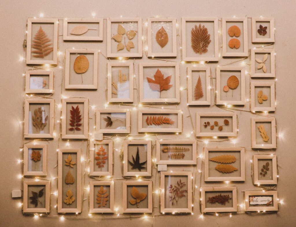 Duvar Dekorasyonu ve Sanat Yerleşimi: Boş Duvarları Odak Noktasına Dönüştürmek