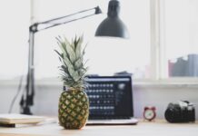 Küçük İşletme İçin Ofis Kurulumu Küçük İşletme İçin Ofis Kurulumu