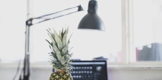 Küçük İşletme İçin Ofis Kurulumu Küçük İşletme İçin Ofis Kurulumu