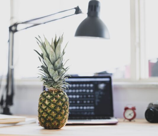 Küçük İşletme İçin Ofis Kurulumu Küçük İşletme İçin Ofis Kurulumu
